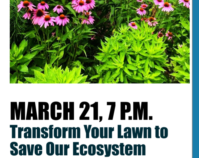Webinar: Transform Your Lawn to Save Our Ecosystem